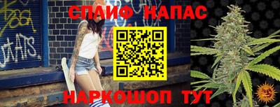 гидра Можга