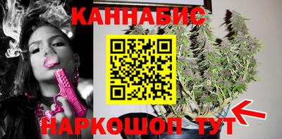 гидра Можга
