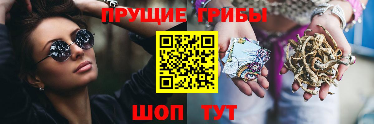 Галлюциногенные грибы Psilocybe  Галлюциногенные грибы Psilocybine cubensis  купить  сайты  Вход с VPN  Якутск 